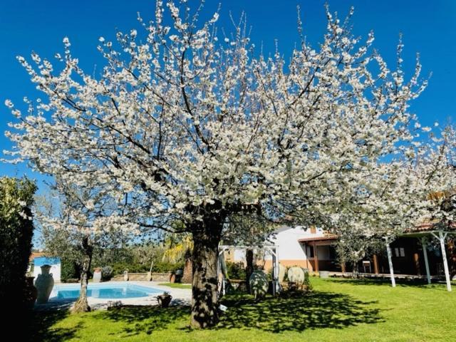 Villa "Casa Al Chiazzullo" Mirabella Eclano Экстерьер фото