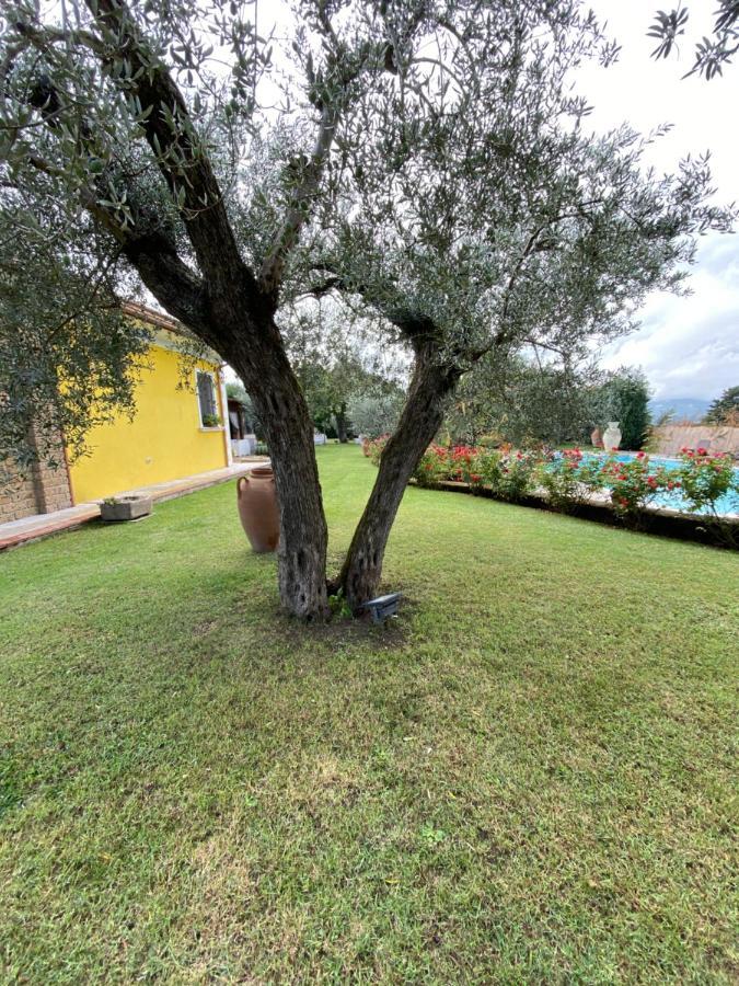 Villa "Casa Al Chiazzullo" Mirabella Eclano Экстерьер фото